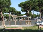5 PINI 017.jpg